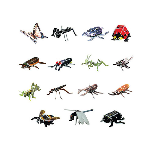교과서에 나오는 한국의 곤충들 16종/모형